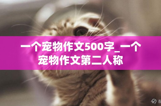 一個寵物作文500字_一個寵物作文第二人稱