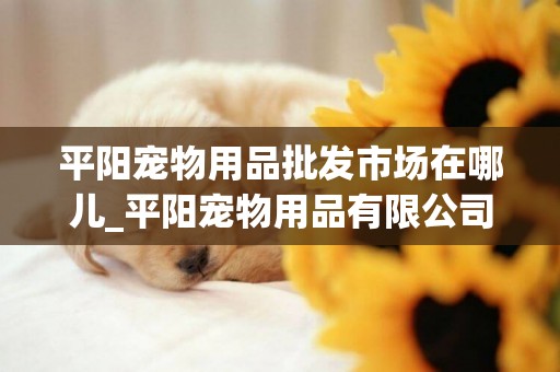 平陽寵物用品批發市場在哪兒_平陽寵物用品有限公司