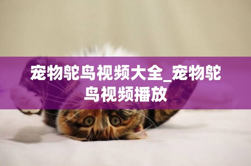 寵物鴕鳥視頻大全_寵物鴕鳥視頻播放