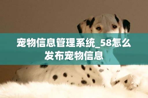寵物信息管理系統_58怎么發布寵物信息