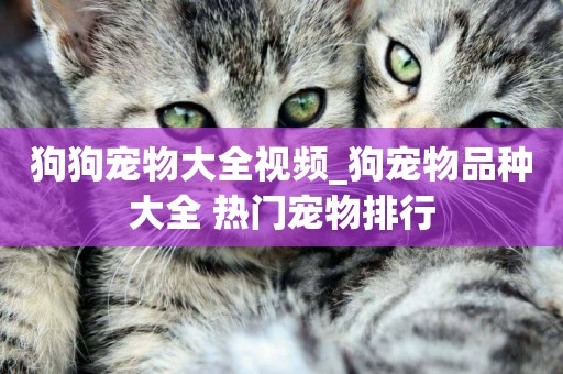 狗狗寵物大全視頻_狗寵物品種大全 熱門寵物排行