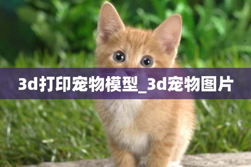 3d打印寵物模型_3d寵物圖片
