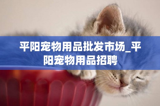 平陽寵物用品批發市場_平陽寵物用品招聘
