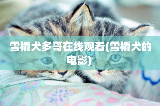 雪橇犬多哥在線觀看(雪橇犬的電影) 