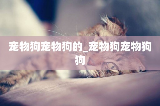 寵物狗寵物狗的_寵物狗寵物狗狗