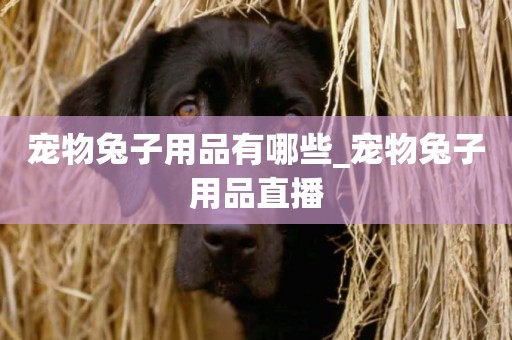 寵物兔子用品有哪些_寵物兔子用品直播