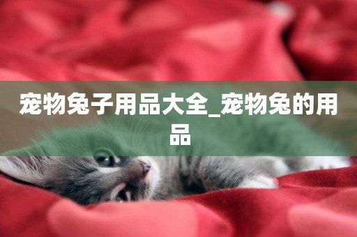 寵物兔子用品大全_寵物兔的用品