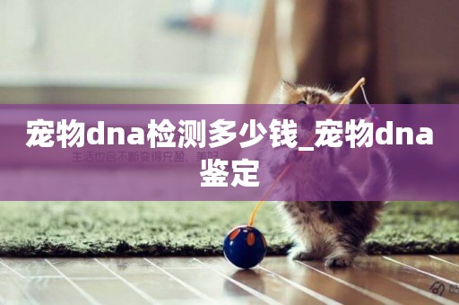 寵物dna檢測多少錢_寵物dna鑒定