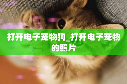 打開電子寵物狗_打開電子寵物的照片