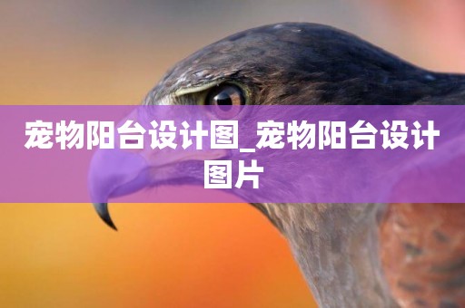 寵物陽臺設計圖_寵物陽臺設計圖片