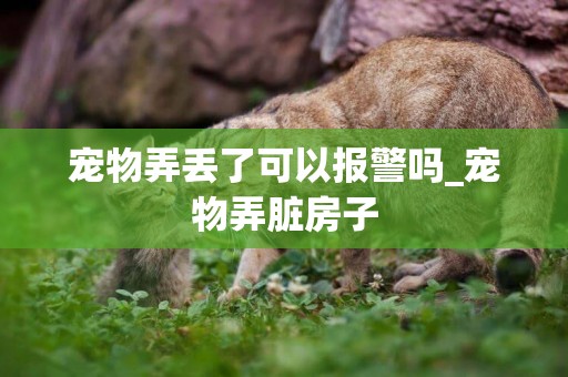 寵物弄丟了可以報警嗎_寵物弄臟房子