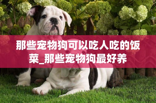 那些寵物狗可以吃人吃的飯菜_那些寵物狗最好養