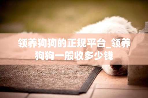 領養狗狗的正規平臺_領養狗狗一般收多少錢