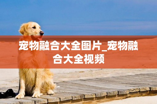 寵物融合大全圖片_寵物融合大全視頻