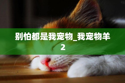 別怕都是我寵物_我寵物羊2