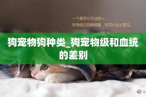 狗寵物狗種類_狗寵物級和血統的差別
