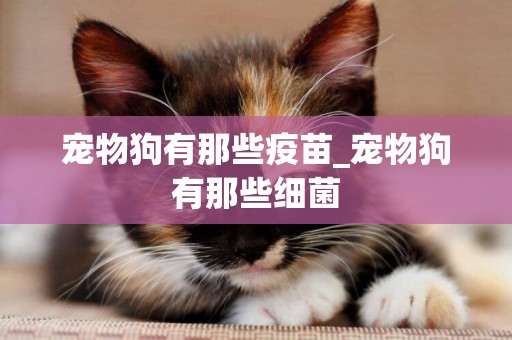 寵物狗有那些疫苗_寵物狗有那些細菌