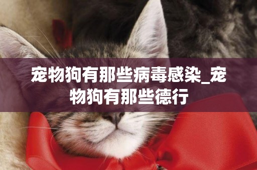 寵物狗有那些病毒感染_寵物狗有那些德行