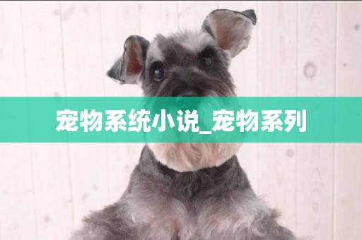 寵物系統小說_寵物系列