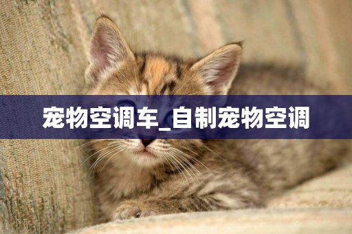 寵物空調車_自制寵物空調