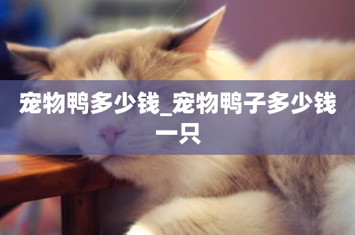 寵物鴨多少錢_寵物鴨子多少錢一只