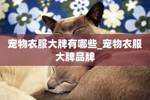 寵物衣服大牌有哪些_寵物衣服大牌品牌