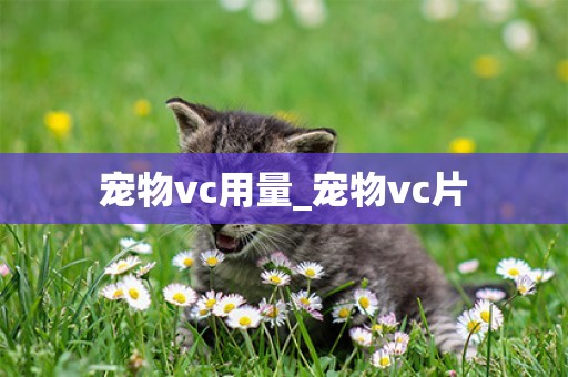 寵物vc用量_寵物vc片