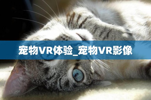 寵物VR體驗_寵物VR影像