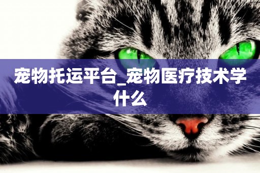 寵物托運平臺_寵物醫療技術學什么