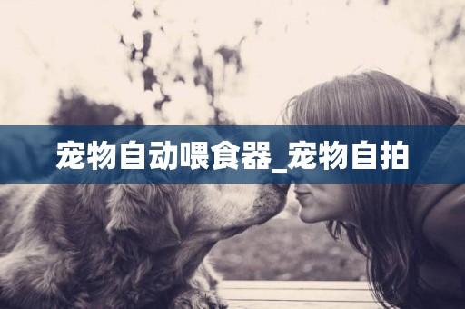 寵物自動喂食器_寵物自拍