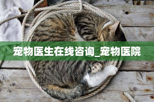 寵物醫生在線咨詢_寵物醫院
