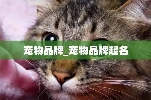 寵物品牌_寵物品牌起名
