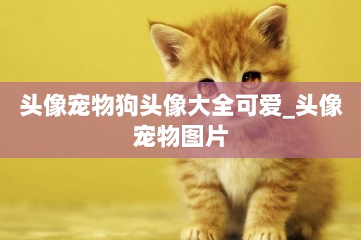 頭像寵物狗頭像大全可愛_頭像寵物圖片