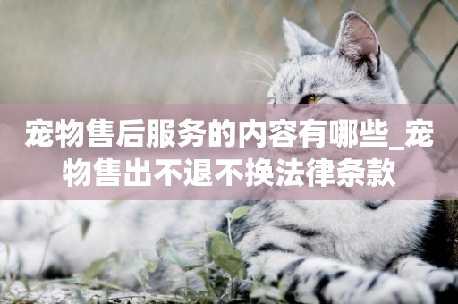 寵物售后服務的內容有哪些_寵物售出不退不換法律條款