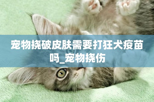 寵物撓破皮膚需要打狂犬疫苗嗎_寵物撓傷