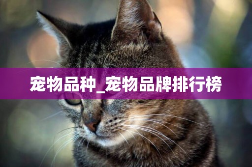 寵物品種_寵物品牌排行榜