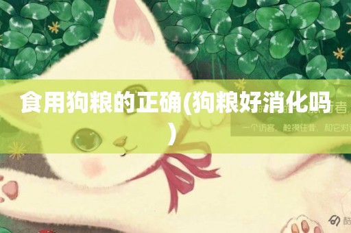 食用狗糧的正確(狗糧好消化嗎) 