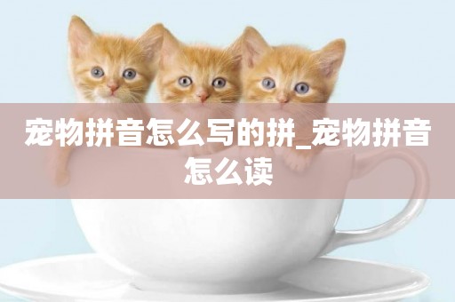 寵物拼音怎么寫的拼_寵物拼音怎么讀