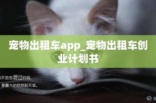 寵物出租車app_寵物出租車創業計劃書