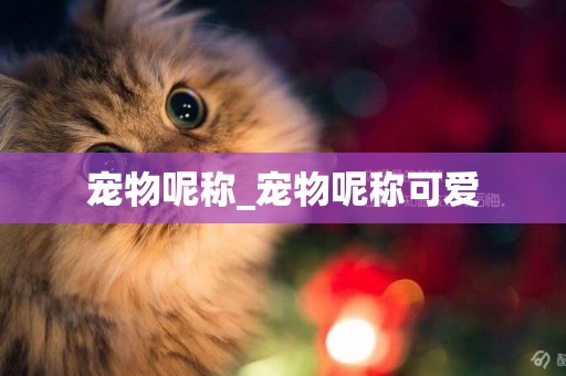 寵物呢稱_寵物呢稱可愛