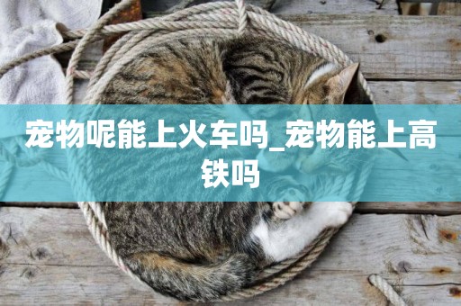寵物呢能上火車嗎_寵物能上高鐵嗎