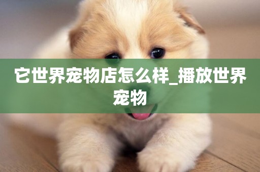它世界寵物店怎么樣_播放世界寵物