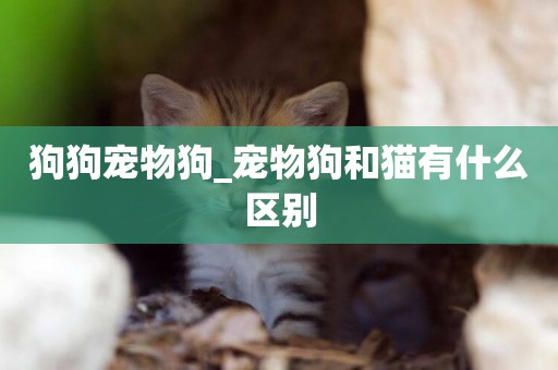 狗狗寵物狗_寵物狗和貓有什么區別