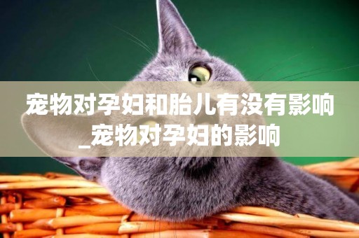 寵物對孕婦和胎兒有沒有影響_寵物對孕婦的影響