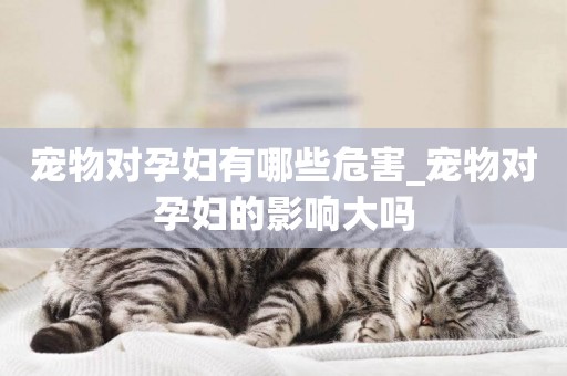 寵物對孕婦有哪些危害_寵物對孕婦的影響大嗎