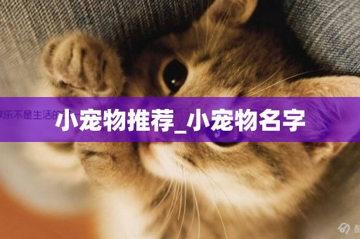 小寵物推薦_小寵物名字