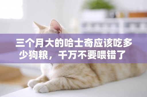 三個月大的哈士奇應該吃多少狗糧，千萬不要喂錯了 