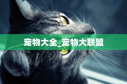 寵物大全_寵物大聯盟