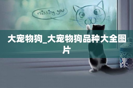 大寵物狗_大寵物狗品種大全圖片