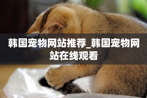 韓國寵物網站推薦_韓國寵物網站在線觀看